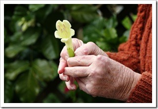 Arthritis Pain Relief Spokane WA